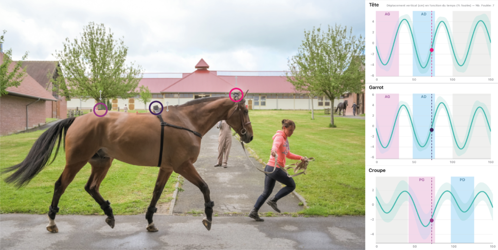 Indicateurs de déplacement vertical - Courbes & Capteurs