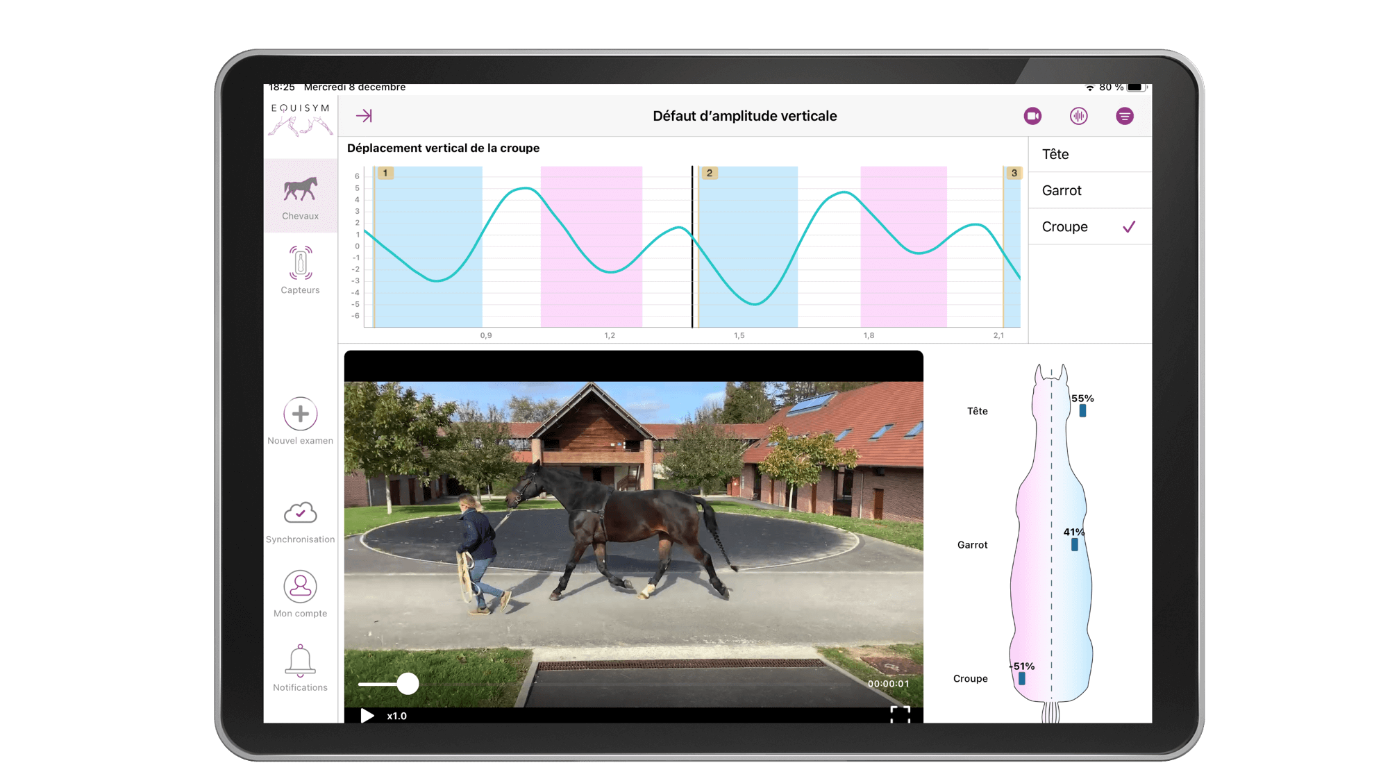 ipad avec application equisym