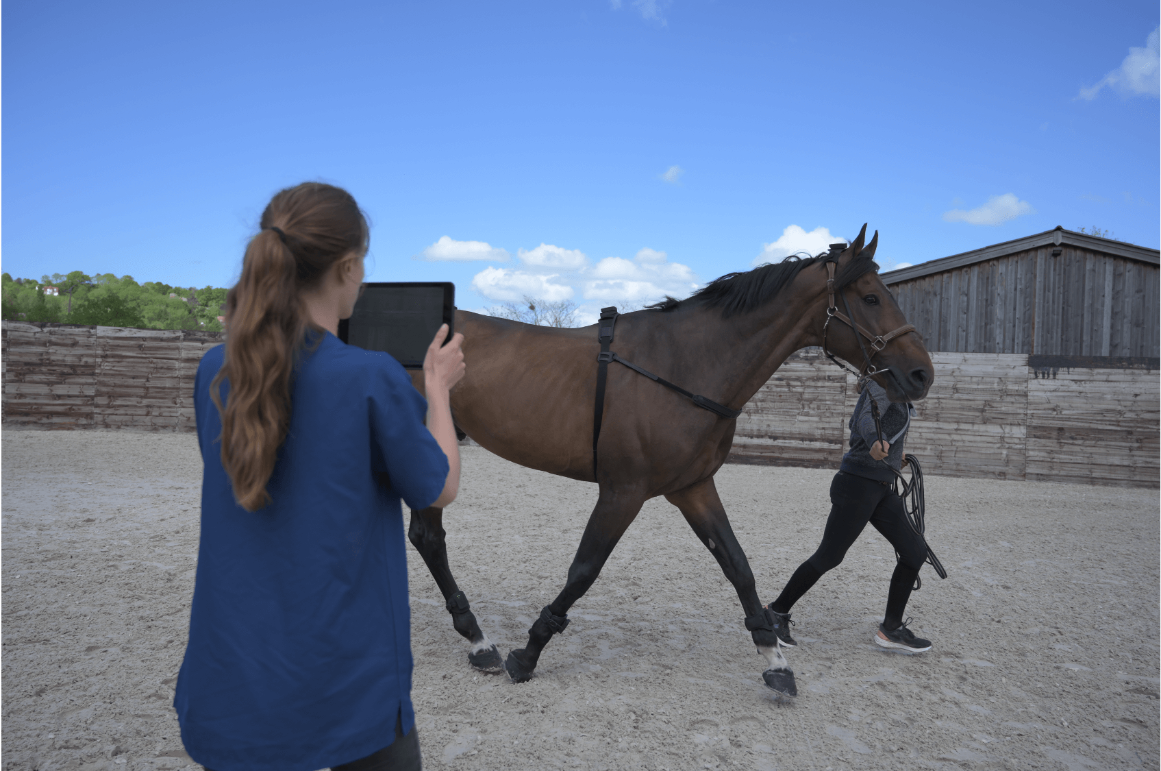 cheval au trot avec système equisym ipad