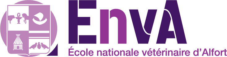 logo enva png