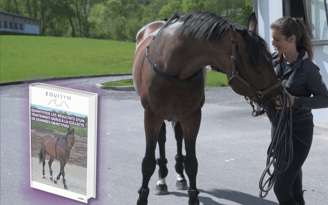 L'entretien des pieds de son cheval en 4 étapes - Le blog du site