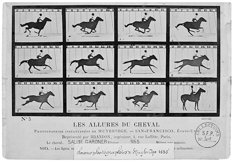 chronophotographie cheval