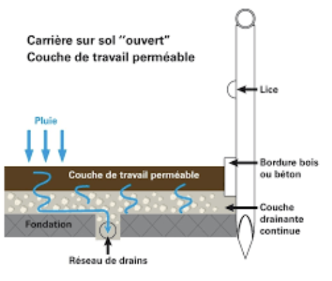 Pied - Le siège des échanges mécaniques entre le cheval et le sol