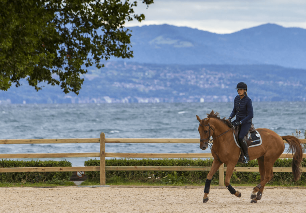 Détente du cheval quelles sont les bonnes pratiques