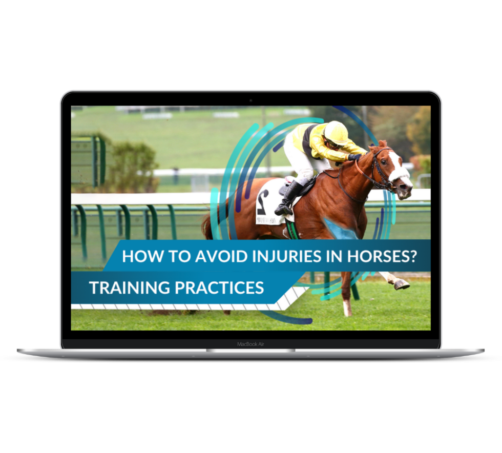 How to avoid injuries in horses? Training practices