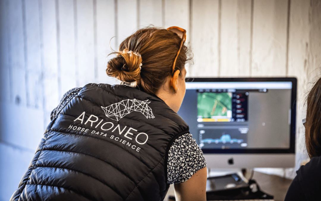 Personalised support: Arioneo’s Data Success Manager