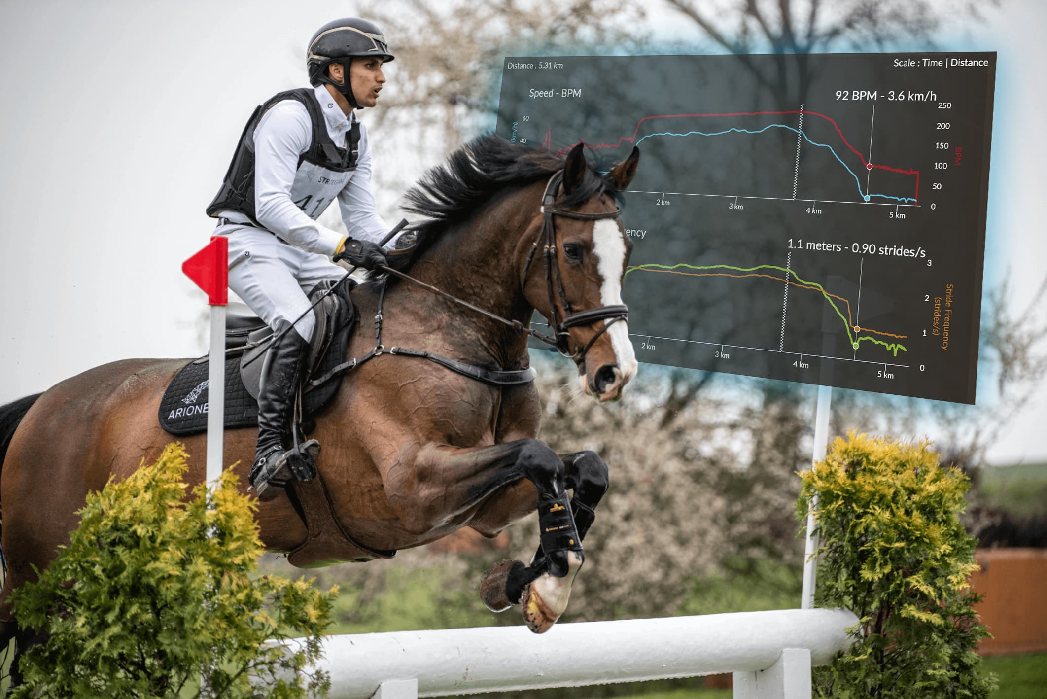 cheval avec courbe de locomotion