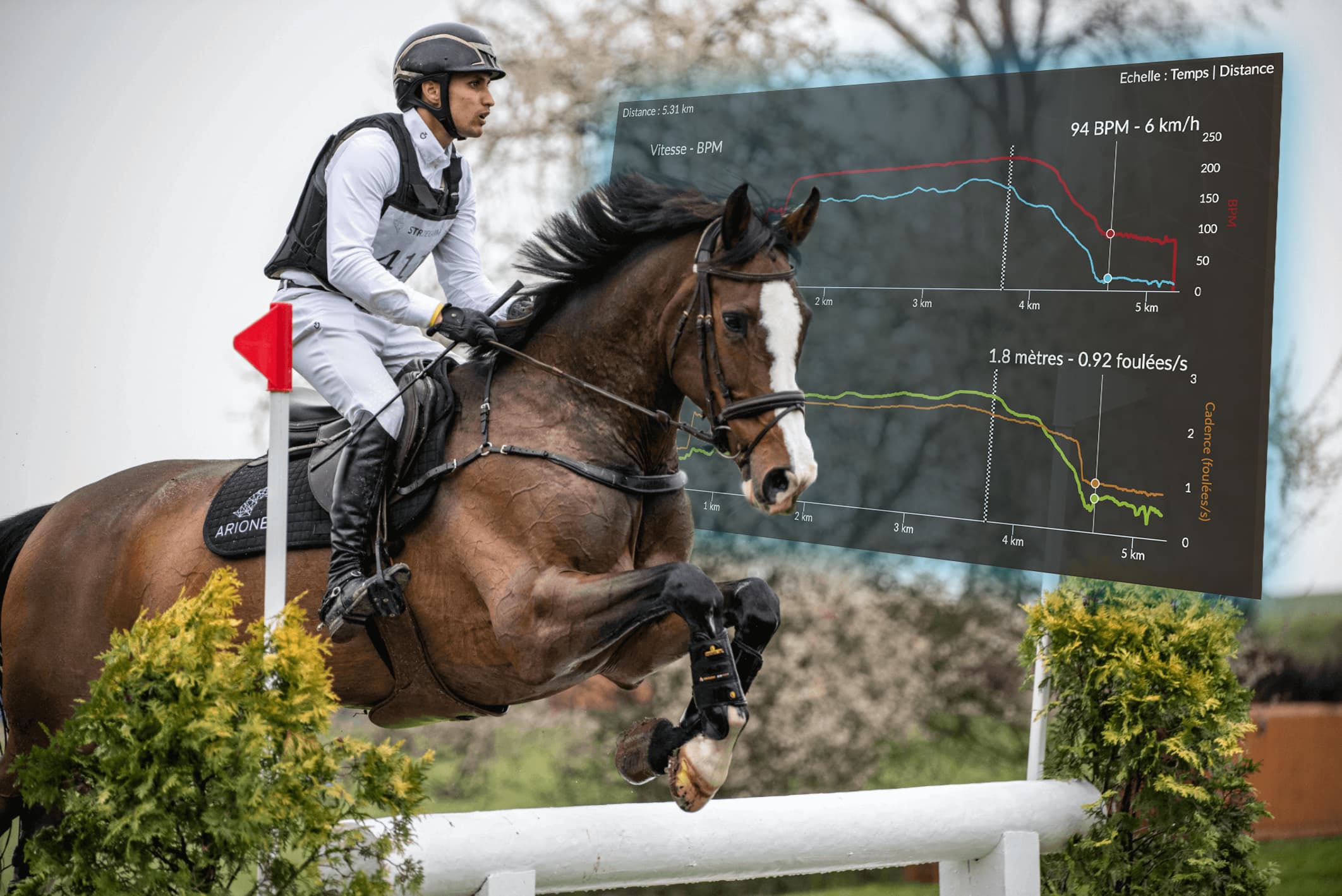 cheval avec courbe de locomotion