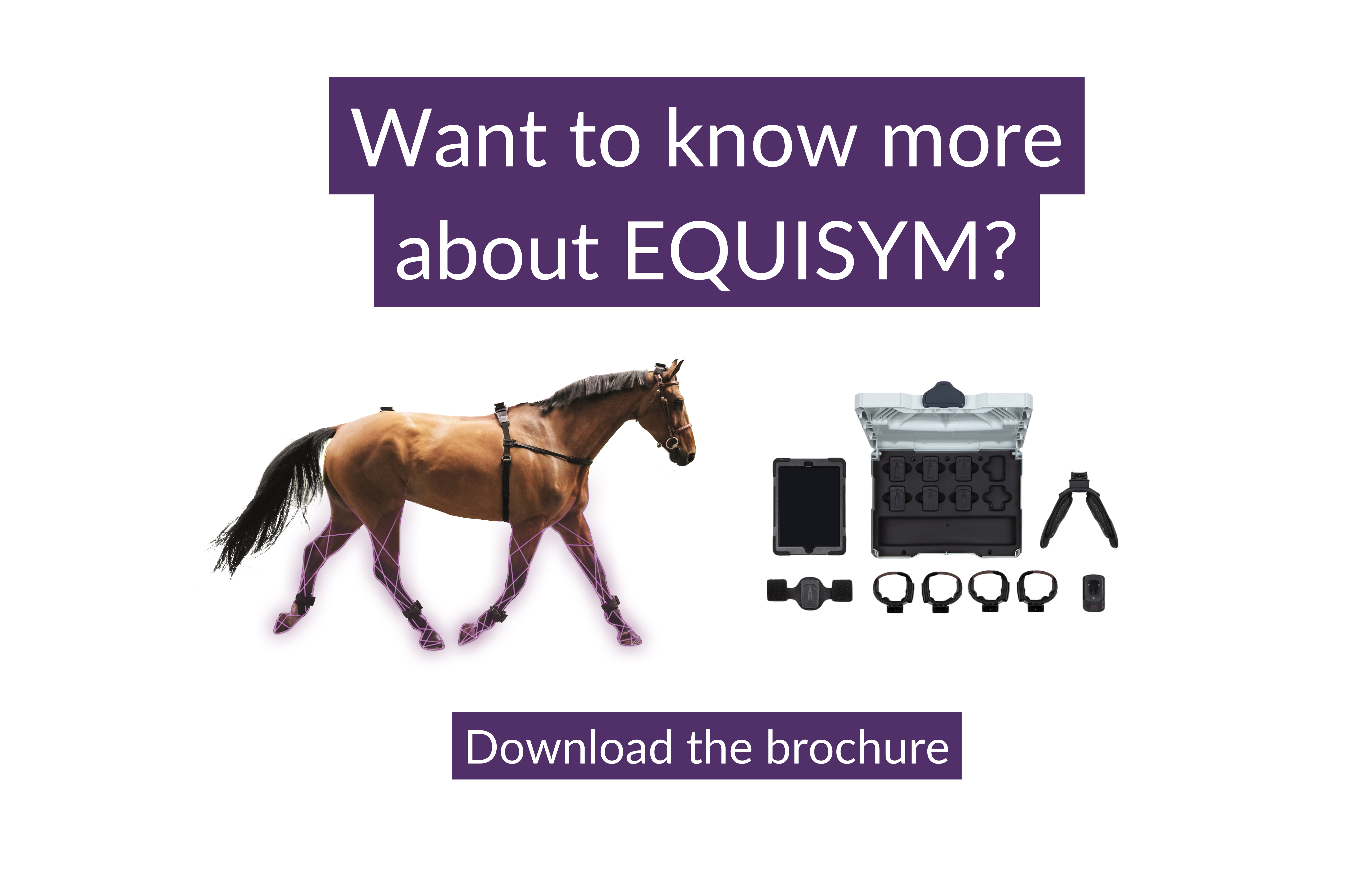 know more about equisym