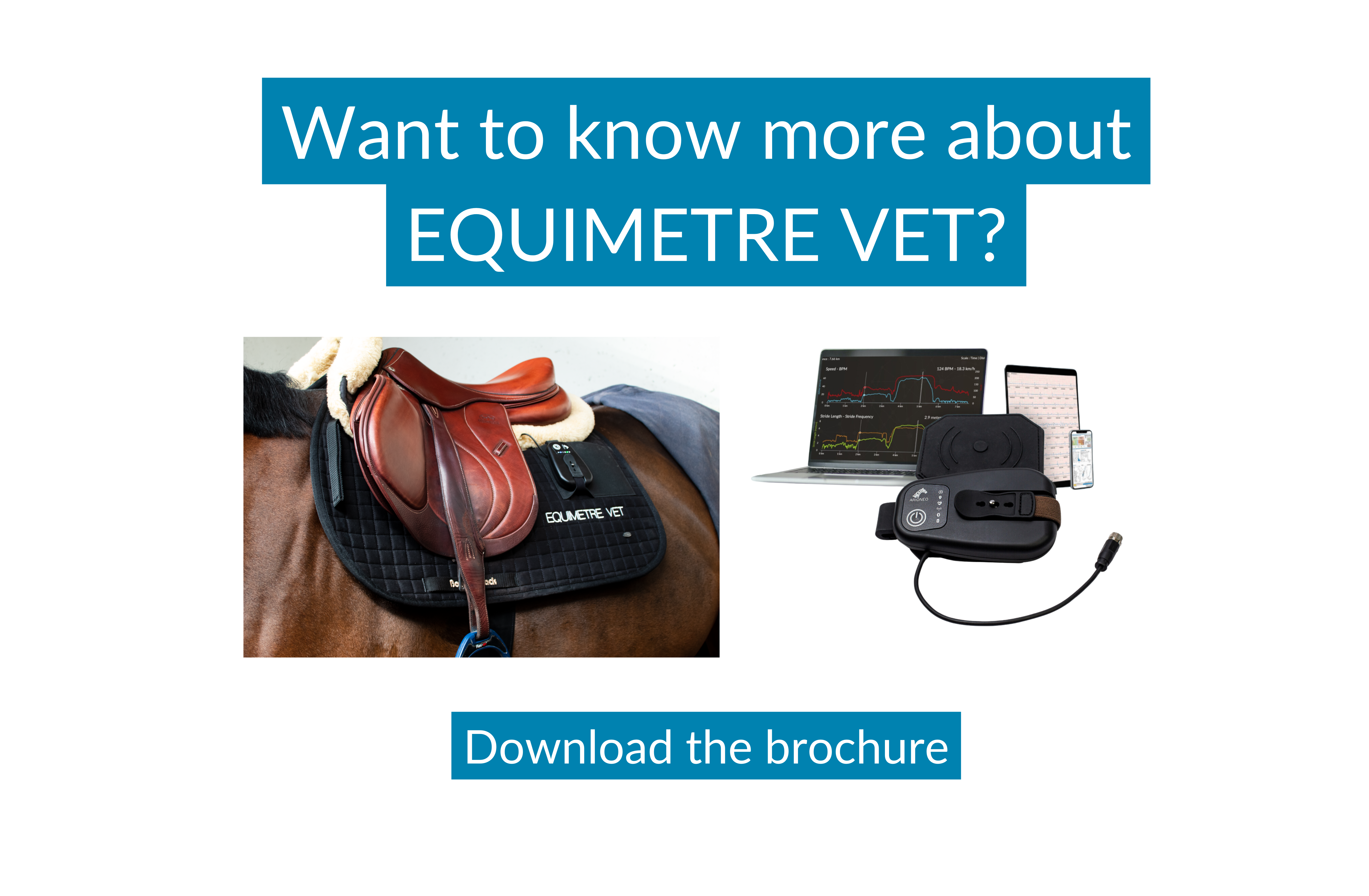 want to know more about equimetre vet, download the brochure