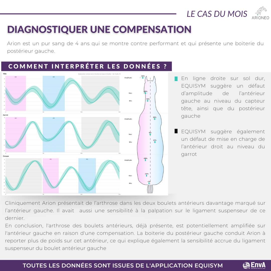 cas compensation chez le cheval athlète