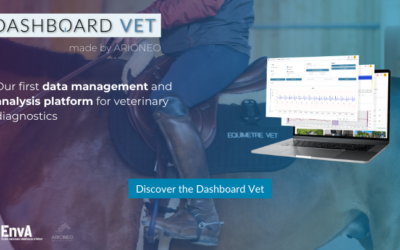 DASHBOARD VET: Our first veterinary data analysis platform