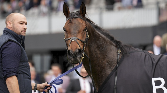 Michael Blomeley : Comment Equiscience contribue à un meilleur entraînement des chevaux de course grâce à la science des données 