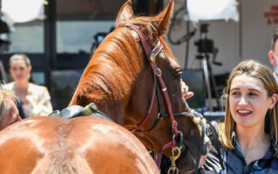 Caroline Jennings & Equiscience : revolutionizing equine research