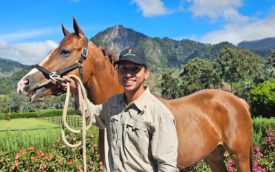 Jose Gutierrez & Equiscience: Enhancing horse training with data analysis