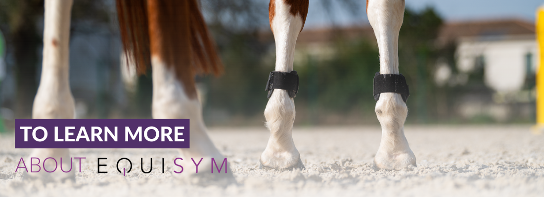 To learn more about EQUISYM®