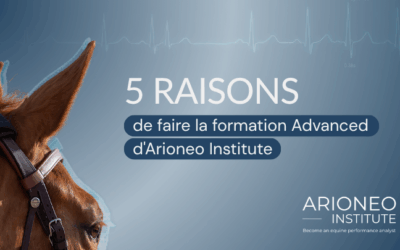 5 raisons de faire la formation Advanced d’Arioneo Institute